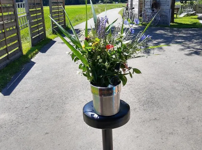 Апартаменты Ferienhaus Georgie