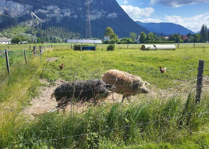 Апартаменты Ferienhaus Georgie *