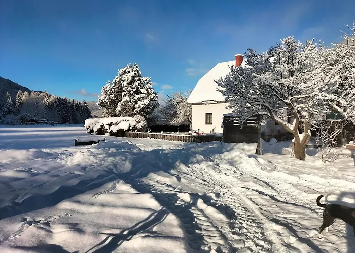 Ferienhaus Georgie Teufenbach (Murau)