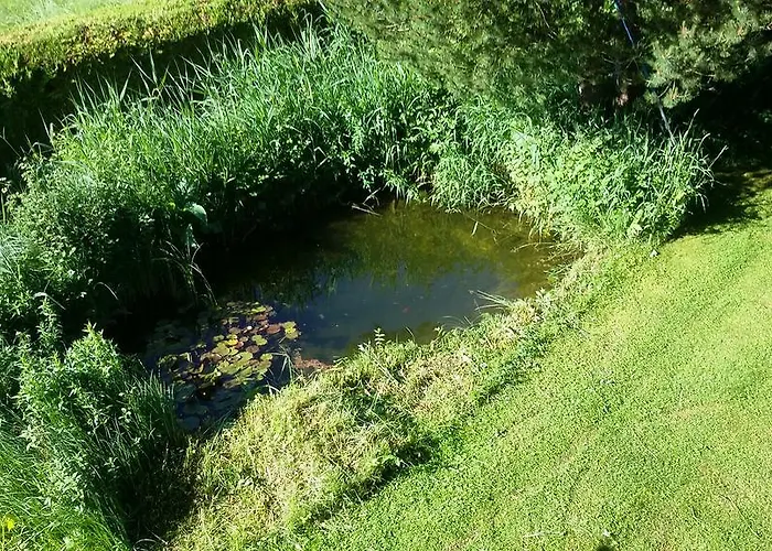 Апартаменты Ferienhaus Georgie Teufenbach (Murau)