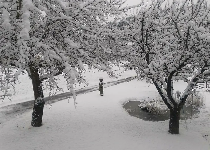 Ferienhaus Georgie Teufenbach (Murau)